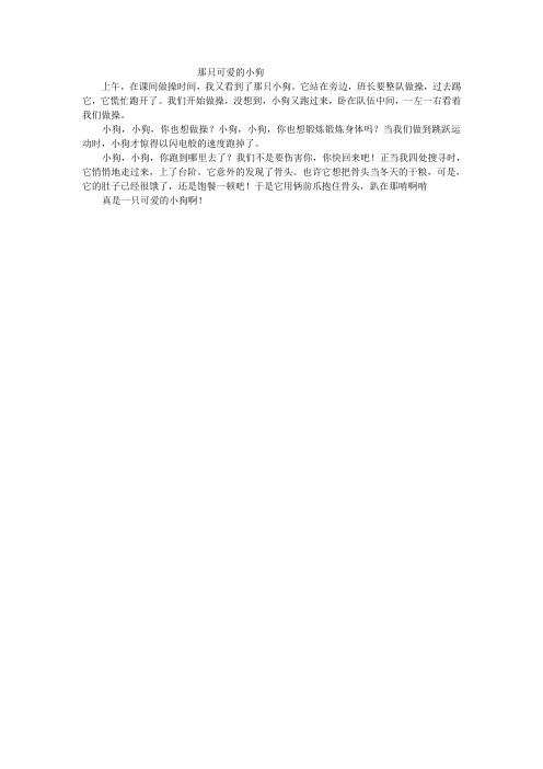 那只可爱的小狗