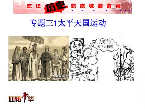 必修一专题三1太平天国运动(复习)