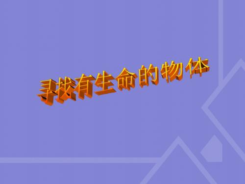 2苏教版三年级科学上册.1寻找有生命的物体 课件