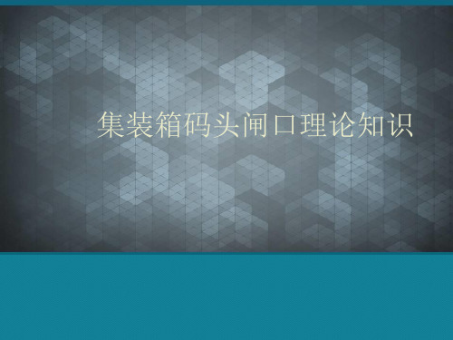 (优选)集装箱码头闸口理论知识.