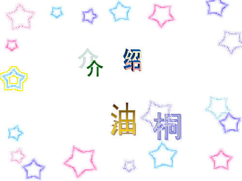 介绍油桐`