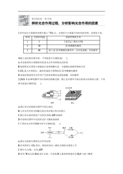2020版高考生物一轮复习苏教版精选提分练：第19练 Word版含解析