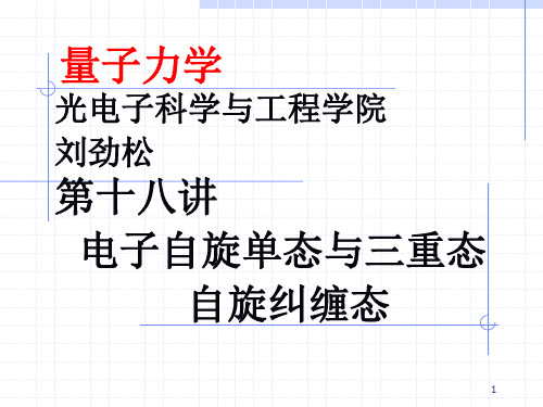 第18讲-自旋纠缠态