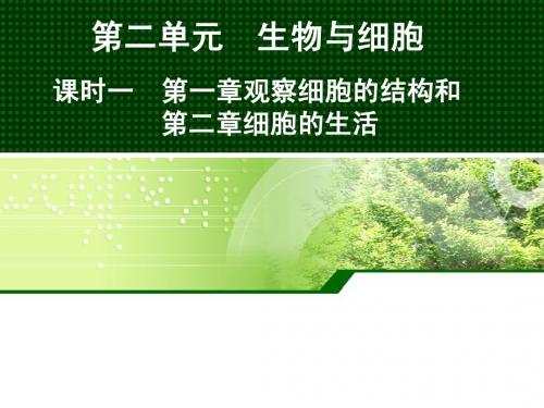 生物中考鲁教版《升学一号》答案
