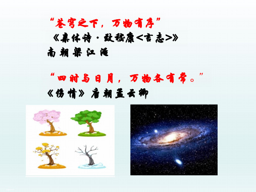 3.1 维护秩序 课件(31张PPT)-2023-2024学年部编版道德与法治八年级上册