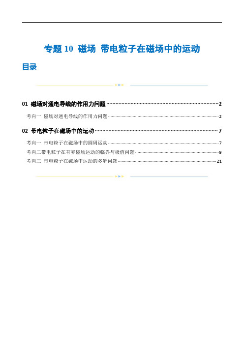 专题10 磁场 带电粒子在磁场中的运动(练习)(原卷版)-2024年高考物理二轮复习(新教材新高考)