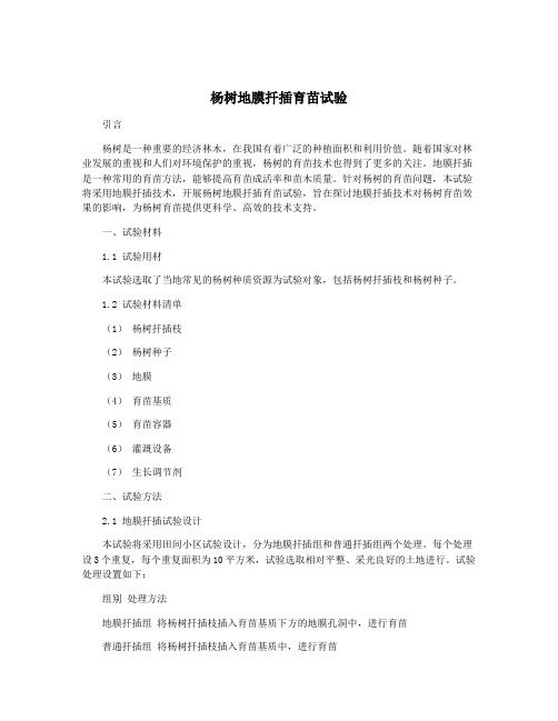 杨树地膜扦插育苗试验