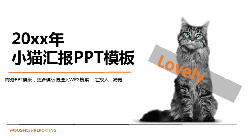 小猫商务风工作汇报总结PPT模板
