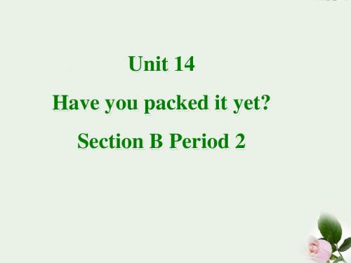 河南省2012年九年级英语上册 unit14《Have you packed yet》Section B 2精品课件 人教新目标版