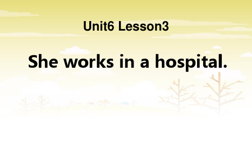 《Sheworksinahospital》FamilyPPT(完美版)下载