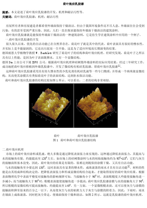 荷叶效应乳胶漆