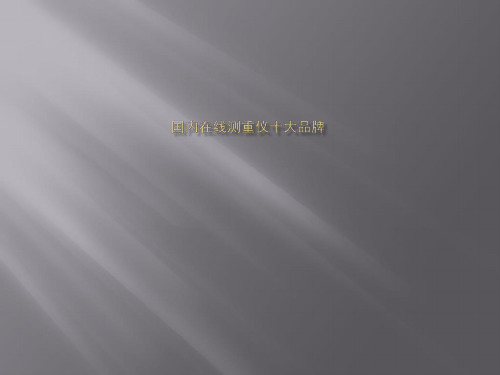 国内在线测重仪十大品牌