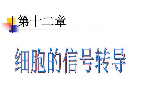 第十二章 细胞信号转导 PPT课件