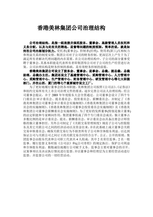 香港美林集团公司治理结构