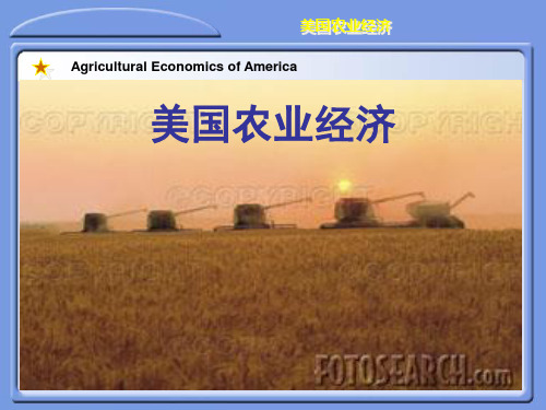 美国农业经济