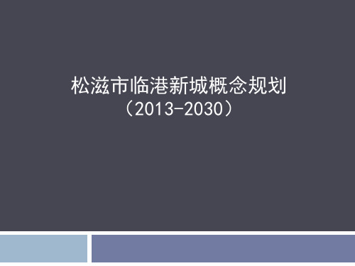 临港新城概念规划汇报稿