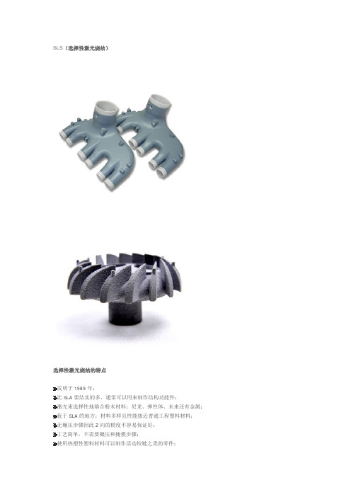 SLS, Selective_laser_sintering(选择性激光烧结)