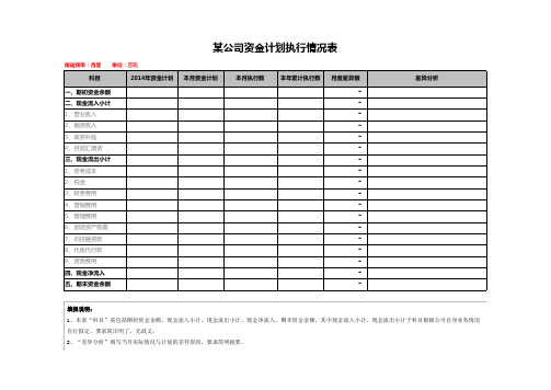 资金计划执行情况表