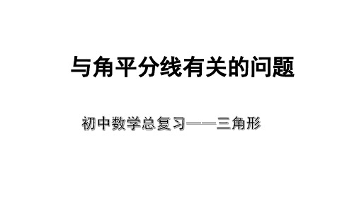 初中考数学专题总复习《三角形》与角平分线有关的问题