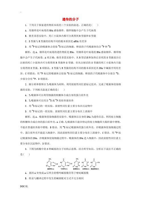 高考生物二轮复习 专题六 遗传的分子基础强化练习(含解析)-人教版高三全册生物试题