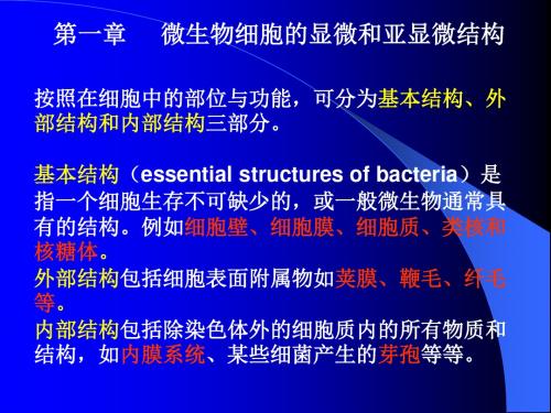1微生物细胞的显微和亚显微结构1