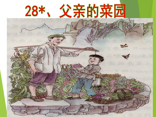 《父亲的菜园》1ppt课件(13页)