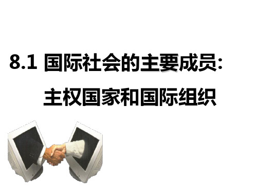 国际社会的主要成员：主权国家和国际组织(人教版)