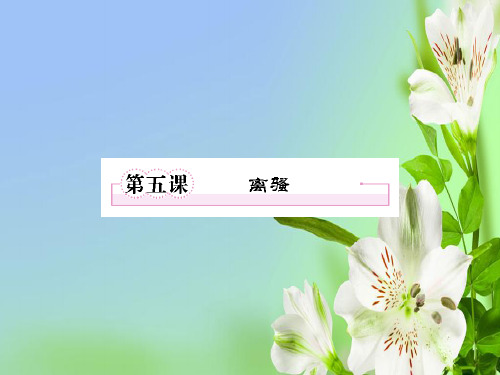 人教版高中语文必修二2.5离骚新(2)课件