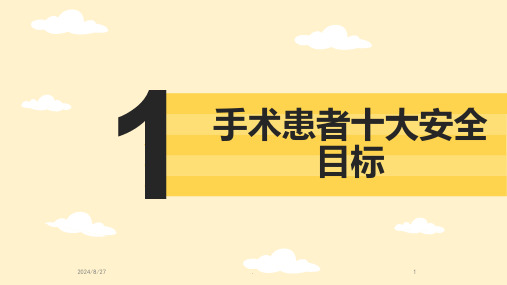 手术患者十大安全目标PPT课件可编辑全文