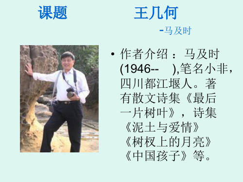 《王几何》ppt课件