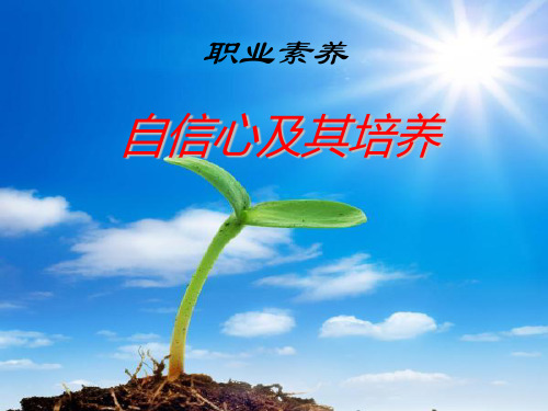 如何培养自信心 PPT课件