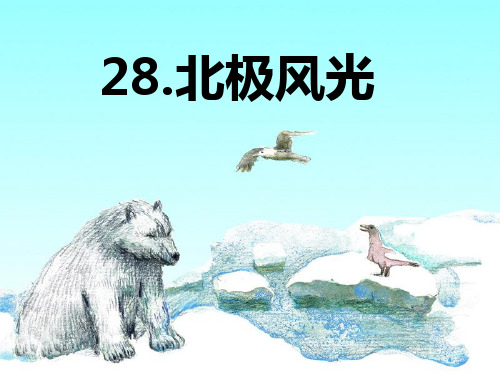 湘三年级上册28、北极风光