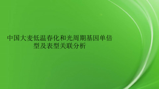 中国大麦低温春化和光周期基因单倍型及表型关联分析
