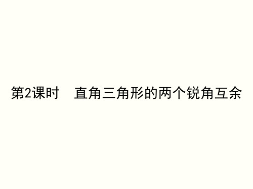 八年级上册11.2.1直角三角形的两个锐角互余