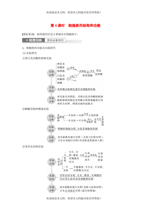 新高考2023届高考生物一轮复习讲义第2单元第4课时细胞核的结构和功能新人教版