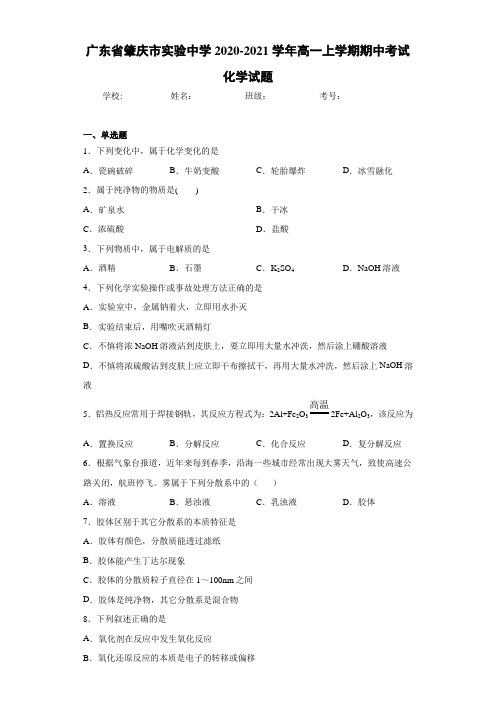 广东省肇庆市实验中学2020-2021学年高一上学期期中考试化学试题