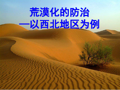人教版高中地理必修三第二章第一节 荒漠化的防治——以我国西北地区为例  课件(共28张PPT)