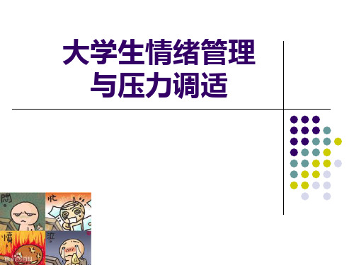 大学生情绪管理与压力调试