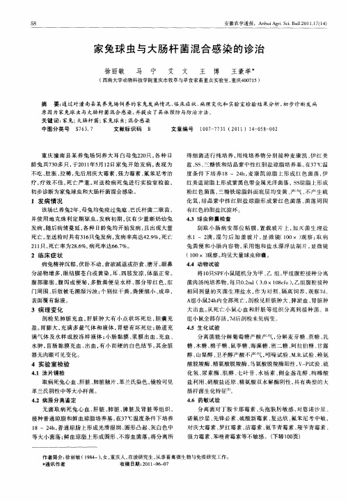 家兔球虫与大肠杆菌混合感染的诊治