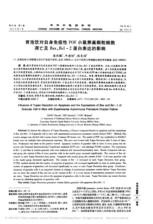 育泡饮对自身免疫性POF小鼠卵巢颗粒细胞凋亡及Bax、Bcl-2蛋白表达的影响_梁欣韫