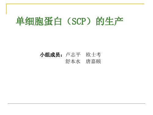 单细胞蛋白(SCP)的生产.pptx