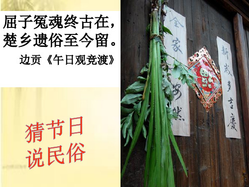 17端午的鸭蛋