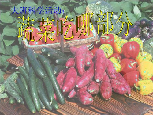 大班科学 蔬菜吃哪部分PPT课件