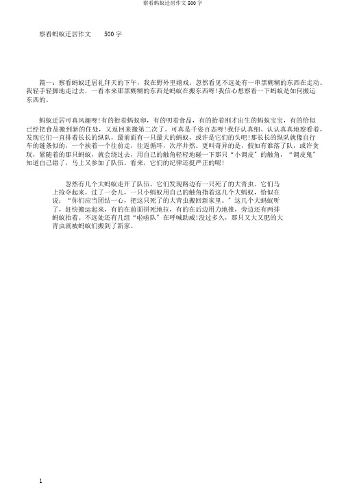 观察蚂蚁搬家作文500字