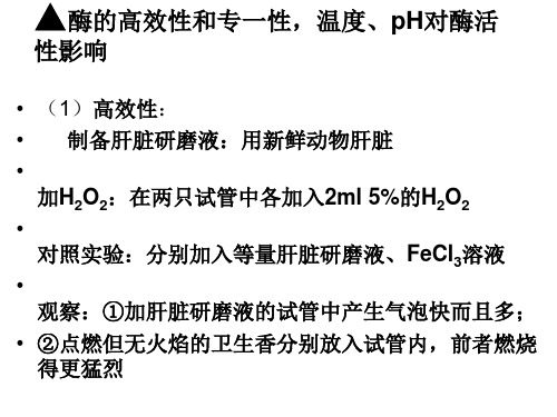 酶的高效性和专一性温度PH(实验)