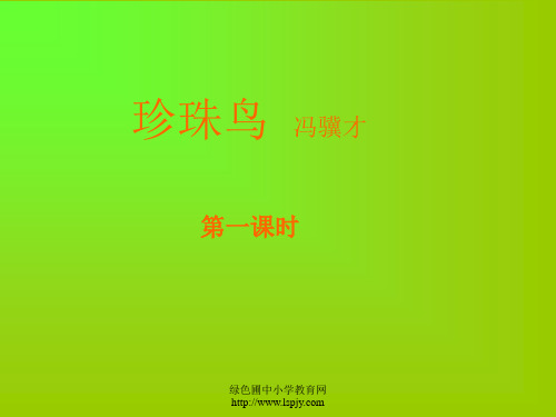 《珍珠鸟》公开课课件PPT 公开课获奖课件