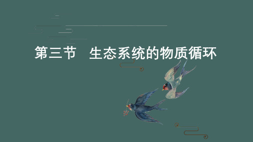 高三生物一轮复习课件生态系统的物质循环