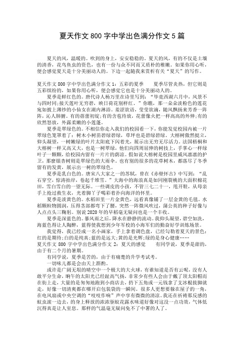 夏天作文800字中学出色满分作文5篇