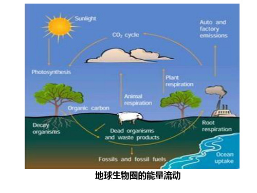 生物必修Ⅲ人教新课标5-2生态系统的能量流动课件(51张)-1