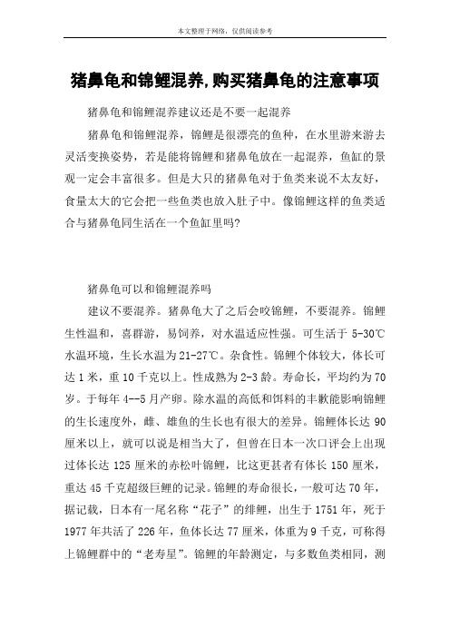 猪鼻龟和锦鲤混养,购买猪鼻龟的注意事项